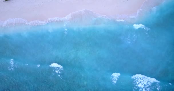 Kristal Okyanus Suyu Olan Tropik Bir Ada Güzel Doğa Manzarası — Stok video
