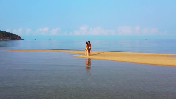 Duas Jovens Amigas Biquíni Andando Costa Mar Mulheres Bonitas Descansando — Vídeo de Stock