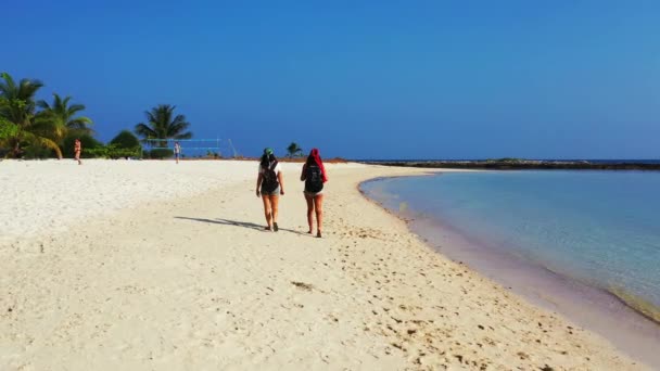 Imágenes Alto Ángulo Mujeres Caminando Playa — Vídeo de stock