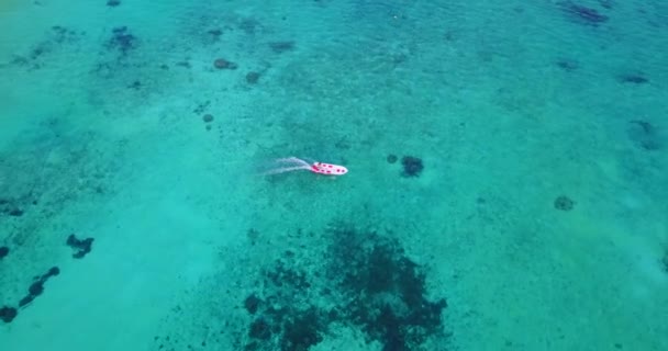 Pequeño Barco Motorizado Que Mueve Agua Poco Profunda Vacaciones Verano — Vídeo de stock