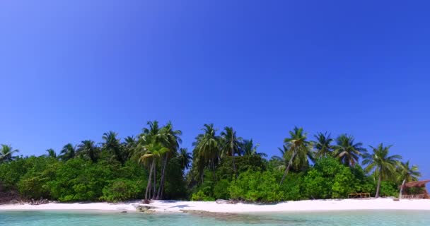 热带岛屿阳光灿烂 印度尼西亚巴厘的性质 — 图库视频影像