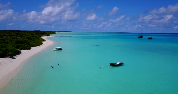 Tagsüber Meerblick Sonnige Natur Von Barbados Karibik — Stockvideo