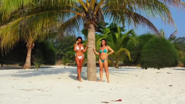 Két fiatal barátnő bikiniben áll a homokos tengerparton a pálmafa alatt és napozik. Gyönyörű nők pihennek trópusi üdülőhelyen    