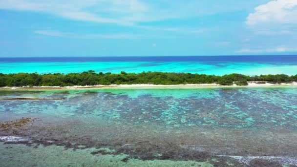 島は鮮やかなターコイズブルーの海で縁取られている ドミニカ共和国 カリブ海のエキゾチックな自然 — ストック動画