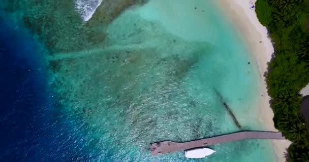 Top View Woode Jetty Small Boat Island Trip Barbados Caribbean — Stock Video