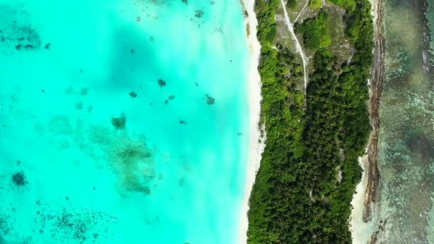 Αεροφωτογραφία Της Λευκής Αμμουδιάς Τροπικό Παραδεισένιο Νησί Στις Μαλαδίες — Αρχείο Βίντεο
