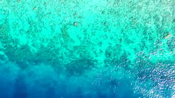 可以近距离看到绿松石水的波纹 巴哈马 加勒比的热带性质 — 图库视频影像