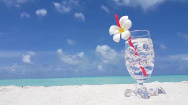 Vidro Com Cubos Gelo Praia Cena Natural Jamaica Caribe — Vídeo de Stock