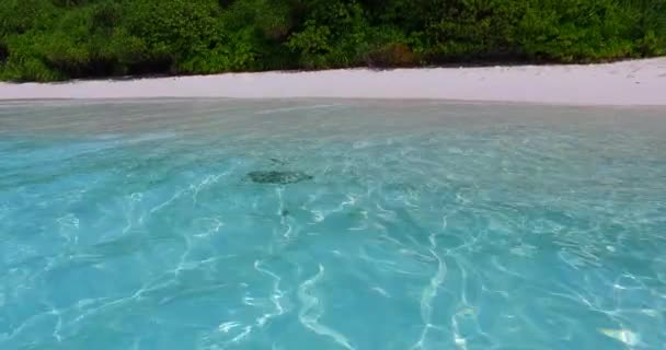 Água Mar Ondulada Transparente Ilha Cena Verão Nas Maldivas Sul — Vídeo de Stock