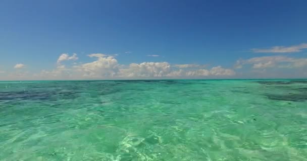 Durchsichtiges Meerwasser Mit Blick Auf Den Grund Exotischer Urlaub Auf — Stockvideo