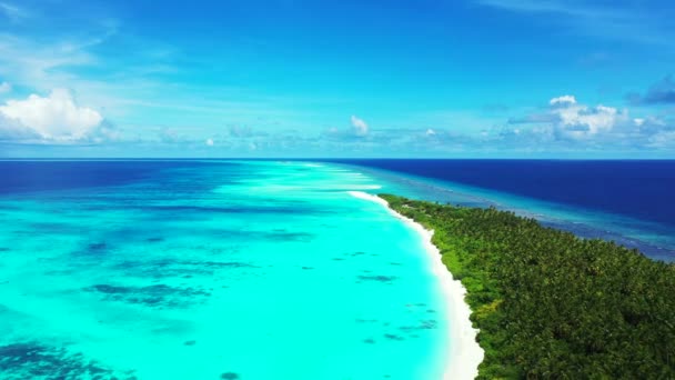 Bright Turquoise Sea Island Exotic Nature Bora Bora French Polynesia — Stock Video