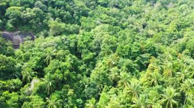 Yeşil ağaçlarla kaplı dağlar. Tayland 'da boş zaman. 