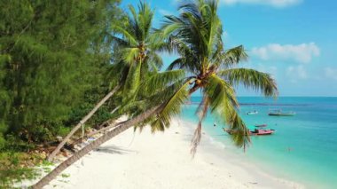 Tropik plaj, tatil konsepti