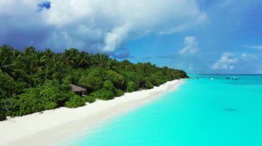 Adada yeşil palmiyeler ve neon turkuaz deniz. Bahamalar, Karayipler 'de yaz sahnesi.