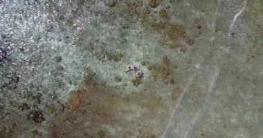 Sığ sularda ısınan turistlerin en iyi görüntüsü. Endonezya, Bali 'ye seyahat.