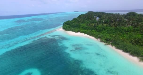 从无人飞机俯瞰海滨风景 印度尼西亚巴厘的性质 — 图库视频影像