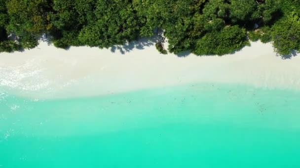 Vista Aérea Playa Arena Blanca Con Isla Paradisíaca Tropical Maladies — Vídeo de stock