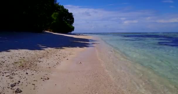 昼間の海辺のシーン バリ島での休暇 — ストック動画