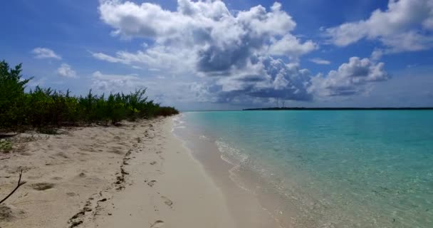 해변을 수있다 카리브해 바하마의 — 비디오