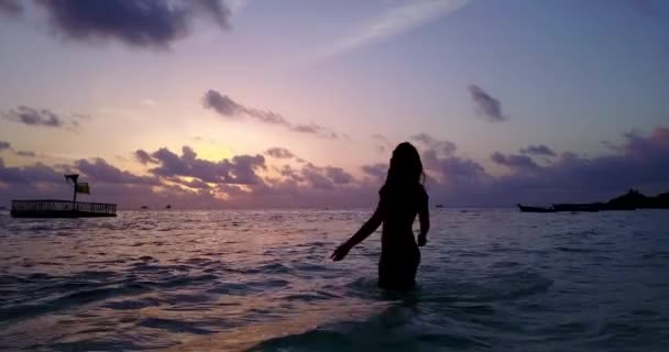 Filmati Silhouette Ragazza Piedi Sul Mare Sera — Video Stock