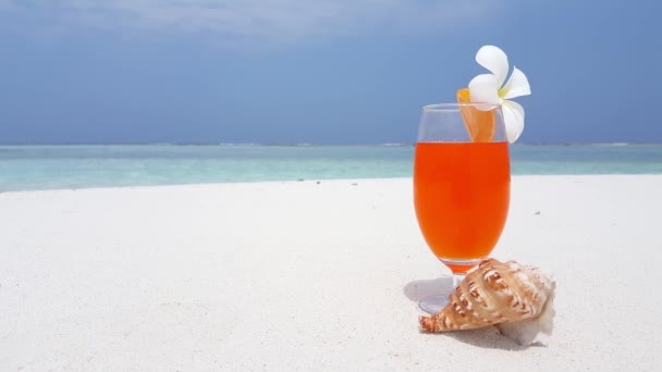 Pomerančový Koktejl Kyticí Mušlí Pobřeží Tropická Cesta Barbados Karibik — Stock video