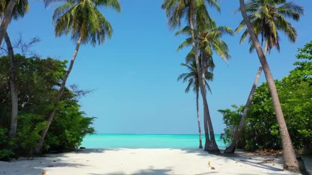 Allée des palmiers menant à la mer turquoise. Voyage à Bora Bora, Polynésie française.