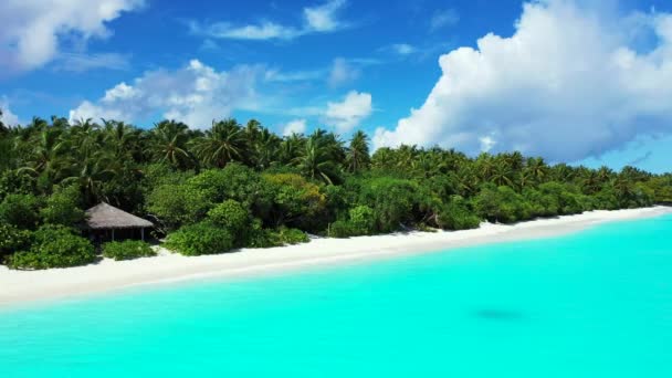 海岸の鮮やかなターコイズブルーの海 ドミニカ共和国 カリブ海の自然 — ストック動画