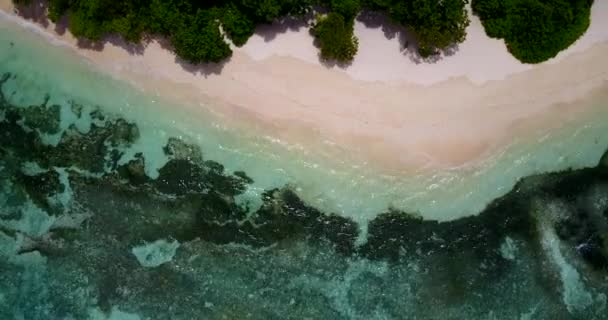 Krystalicznie Płytka Woda Brzegu Letni Relaks Bali Indonezja — Wideo stockowe