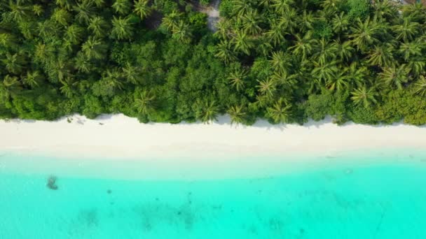 Při Pohledu Zelený Tropický Ostrov Lemující Tyrkysové Moře Slunečný Charakter — Stock video