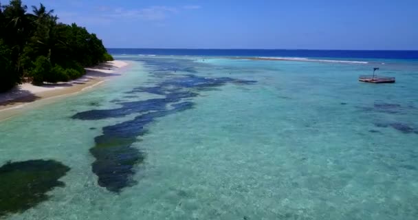 Shoreline Con Acqua Trasparente Alghe Marine Viaggio Estivo Bali — Video Stock