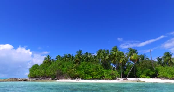 En regardant le littoral avec des palmiers verts luxuriants. Paysage des Seychelles, Afrique de l'Est.