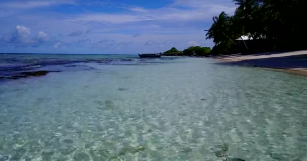 夏の昼間の海岸線 インドネシアのバリで熱帯の休暇を楽しむ — ストック動画