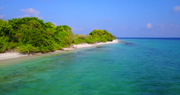 Beach Side Morning Enjoying Nature Dominican Republic Caribbean — Video Stock