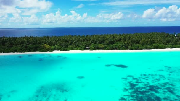 Blick Von Der Drohne Auf Die Tropische Insel Tropische Natur — Stockvideo