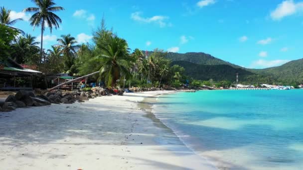 Pantai Dengan Telapak Tangan Hijau Pagi Hari Musim Panas Pemandangan — Stok Video