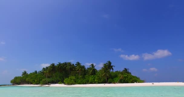 Plaża Dzień Natura Bali Indonezja — Wideo stockowe