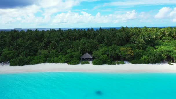 Seaside Bright Turquoise Colours Bahamas Idyllic Scene Caribbean — Stock Video