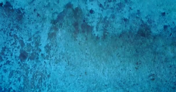 Пливуча Морська Вода Насолоджуючись Природою Домініканської Республіки Карибського Басейну — стокове відео