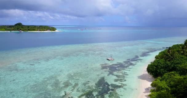 Video Aereo Dell Isola Tropicale Con Spiaggia Sabbia Bianca Palme — Video Stock