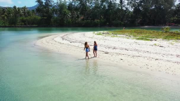 Vista Las Niñas Caminando Playa Arena Hablando Algo — Vídeo de stock