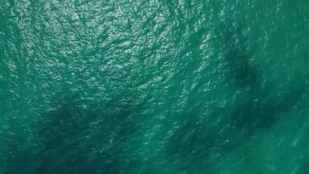 加勒比海波涛汹涌 海水深蓝色 表面透明海滩 — 图库视频影像