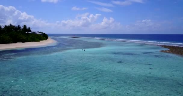 Kristalwater Ochtend Tropische Natuur Scene Van Jamaica Caribisch Gebied — Stockvideo