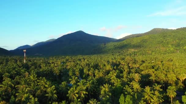 Montagnes Vertes Sur Île Voyage Tropical Barbade Caraïbes — Video