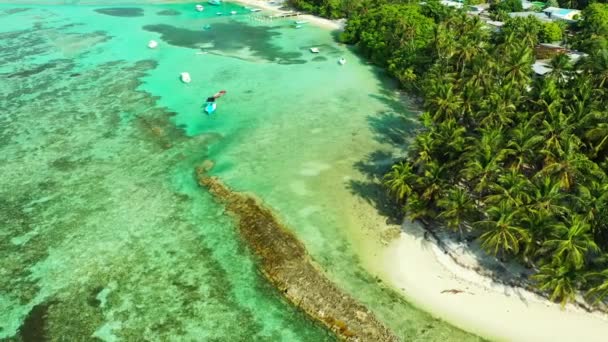 绿色岛屿的俯瞰 亚洲的热带性质 — 图库视频影像