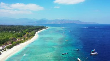 Parlak renklerde deniz pelerini. Dominik Cumhuriyeti doğası, Karayipler.