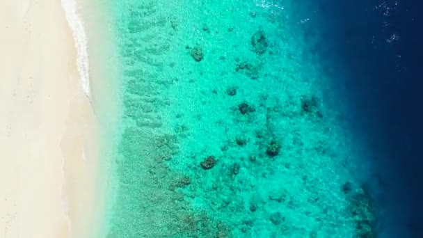 Камені Дні Моря Сцени Ямайки Карибське Море — стокове відео