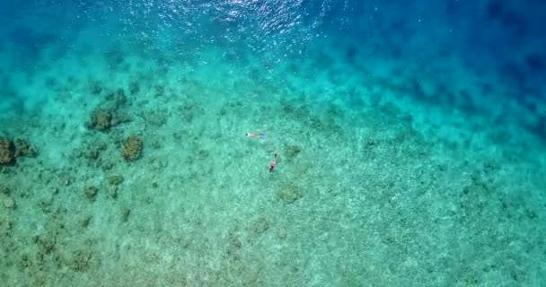 Вид Сверху Людей Плавающих Бирюзовой Воде Летнее Время Бали Индонезия — стоковое видео