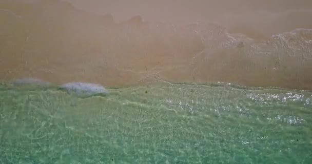 Sandstrand Mit Flachem Wasser Natürliche Szene Jamaika Karibik — Stockvideo