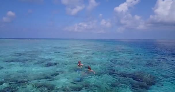 Okyanusta Şnorkelle Yüzen Romantik Bir Çift — Stok video