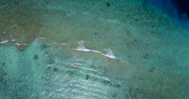 Природний Фон Хвилястого Моря Подорож Золотого Травангана — стокове відео
